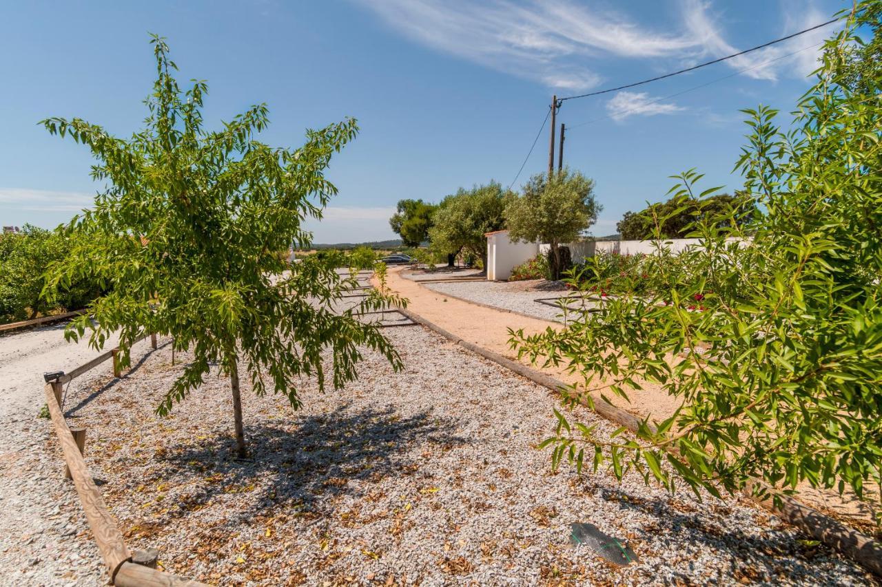Monte Da Cabeca Gorda Bed and Breakfast Alcáçovas Εξωτερικό φωτογραφία